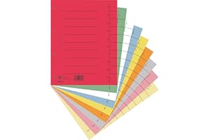 ‎DONAU DONAU 8610001S-99 100er Pack Trennblätter/ Aus Recycling-Karton 250 g/qm mit Linienaufdruck für DIN A4 4-Fach Lochung Trennlaschen Trennblätter Ordner Register Kalender