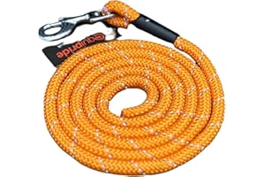 EQUIPRIDE Horse lead rope for Headcollar Reflective Length 2 meters 7 Amazing Colours (Orange)