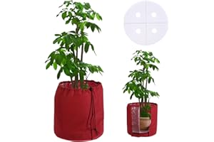 DEWUR Thermo Topfschutz für Pflanzen in Aussenbereichen, doppelt isoliert, Winterschutz für Kübelpflanzen vor Frost und Nässe, mit Drainage (45x50cm, Rot)