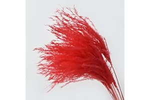 MIAOLLUN Pampas Grass Boho Home Decor, Fluffy Natural Dried Pampas Grass para la Boda, Jarrón de Mesa, Jardín de Fiesta, DIY Wreath Floral, Arreglo Home Decor,Rojo