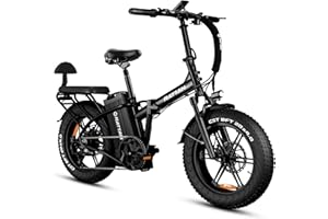 Rattan LM/LF Ultra Bicicletta Elettrica Pieghevole per Adulti, Batteria Rimovibile 48V 40,5Ah, Autonomia 195km, freno idraulico, pneumatico fat da 20" × 4.0, 2 Posti