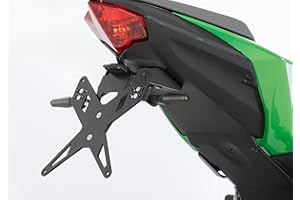 FECHTER DRIVE MOTORSPORT GMBH PROTECH X-Shape Kennzeichenhalter kompatibel mit Kawasaki Ninja 125 2019-2020 BX125A
