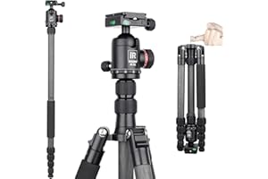 10 Layers Carbon Fiber Travel Tripod Monopod-INNOREL RT55C with 36mm panoramic Ball Head 360 Degree and Carrying Case Professional Lightweight Compact Tripods for Digital Camera Camcorder DSLR