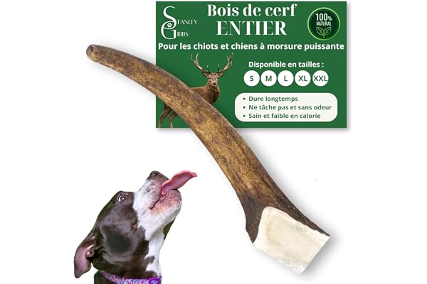 Bois de cerf pour Chien a Macher Entier (1 pièce). Friandise pour Chiots et Chiens de Tout âges. Jouet Occupation. Jouet de Mastication. Soins Dentaire idéal (S)