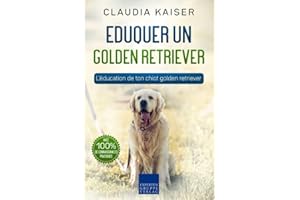 Eduquer un golden retriever: L'éducation de ton chiot golden retriever