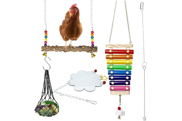 Allazone 5 PCS Jouets pour Oiseaux Jouet de Poulet, Jouets de Balançoire de Poulet Légumes Brochette De Fruits, Jouet de Xylophone de Poulet, Jouets Poulet en Miroir pour Poulet Perroquet Oiseau