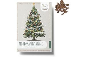 HAPPYSEED 20x Graines de Sapin de Nordmann (Abies nordmanniana) - Ton propre sapin de Noël à planter toi-même comme cadeau