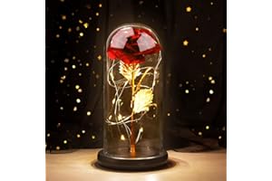 Joyhoop Rosas Eterna Rosa Bella e la Bestia, Idee Regalo San Valentino per Lei, RosaStabilizzata Vera in Vetro conRosa Led Luci,Rosa San Valentino Donna Compleanno Festa della Mamma Regalo Originali.