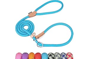 Grand Line Retrieverleine mit Zugstopp, 150 cm Moxonleine Reflektierende Hundeleine, Sicher Dauerhafte Trainingsleine Moxonleine für Kleine Mittlere und Große Hunde - 10mm, Blau