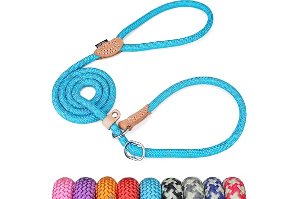 Grand Line Lasso pour Chien, 150 cm Laisse Coulissante de Dressage avec Frein, Réfléchissant Laisse Etrangleur pour Chiot, Petits, Moyens, Grands Chien (14mm, Bleu)