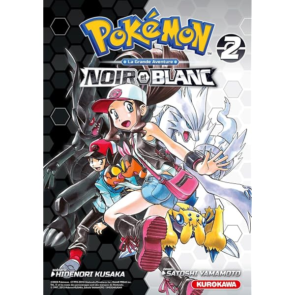 Guide pokémon version noire & blanche en ance | Clasf loisirs