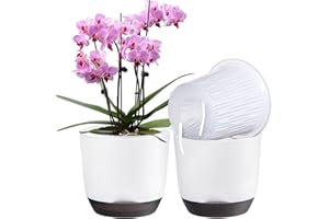 QCQHDU Lot de 2 pots à orchidée avec trous pour rempotage - Double couche et auto-irrigation avec bonne circulation de l'air (blanc, 18,3 cm)