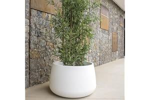 MOOVERE Macetero de Color Opaco Polietileno, legero, Resistente, para Plantas y Flores (80cm, Blanco)