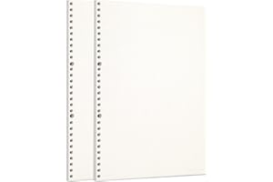 Zelten 2 Paquetes A4 90 Hojas/180 Páginas Papel Perforado de Hoja Suelta Recambios de Papel para Carpeta de 30 Agujeros Organizador Personal Cuaderno de Notas Recargable Planificador