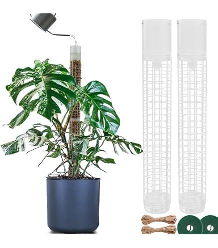 Planten en Tuin | Help mijn ijzerhard kom nog niet uit