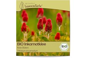 Samenliebe Organic Incarnate Clover Seeds Red Flowers Green Manure Bee Willow Red 1000 Seeds Seedproof Flower Seeds for Garden and Outdoor Organic Flower Seeds Perennial