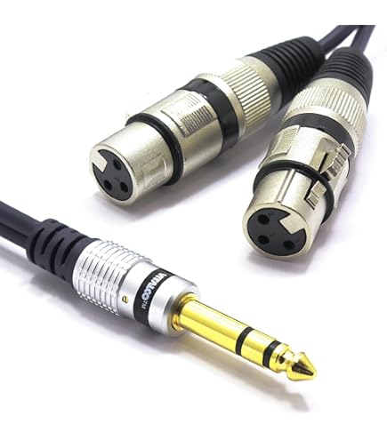 Cable Matters Dual RCA To XLR Cable - 6 Ft Unbalanced Interconnect Cable For Audio Systems