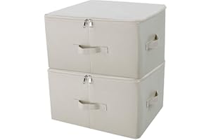 iwill CREATE PRO Contenants de Rangement Pliables en Toile Jumbo, Rangez Votre Placard, Boîte de Rangement Pratique avec Couvercle, Beige, Paquet 2