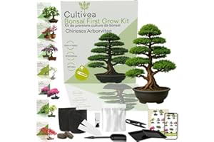CULTIVEA Kit First Bonsai – Autocultivo de Bonsáis con Semillas y Herramientas – Fácil y Completo | Idea de Regalo (Chineses Arborvitae)