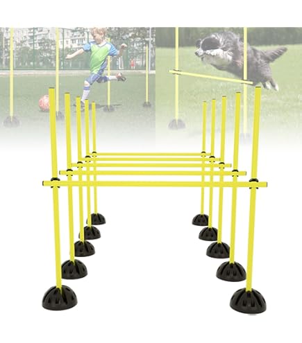 Boje Sport Sprungstangen-Set – Trainingshilfe Für Agility, Sprungkraft & Koordination