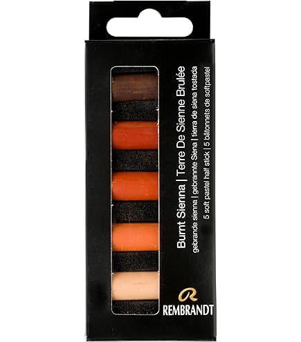 Rembrandt 5 halve softpastels set lichte grijzen