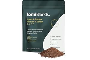 Lomi El primer compostador de cocina inteligente del mundo | Convierte los residuos en abono con un solo botón con contenedor de compost eléctrico para encimera (Lomi Blends)