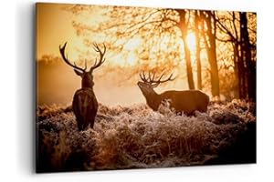 ARTTOR Deco Cadre Décoration Salon Deer bruyère animaux Moderne Impression sur Toile 120x80cm Image Tableau Decoration Murale Chambre Horizontal Art Wall Grand Tableaux Decoratifs Muraux AA120x80-3043