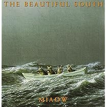 Quench by Beautiful South (1999-07-20) by : Amazon.co.uk: CDs & Vinyl