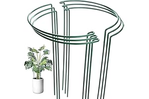 OAHAO 6 Pack Plant Support Stakes Ring Cage,Metal Half Round Plant Ring 21×35cm Large Peony Cages and Supports for Outdoor Plants, Tomato,Vegetable, Hydrangea,Rose,Flowers Vine