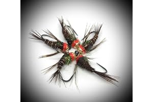 Massimo Clini : Pheasant Tail, Nymphe en tungstène, en 9 artificielles trois pour mesure et poids, construite sur hameçons Barbless cecoslovacchi, conforme au règlement FIPS mouche