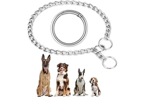 AUAUY Kettenhundkragen, Edelstahl Hundehalskette, Verstellbare Hunde Halsband mit Verbindungsverschluss, Hunde Kette zum Hundetraining, Halskette P-Kettenkragen für Hunden (L: 55 cm, Ø 3,0 mm)