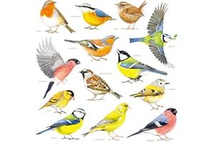 DECOWALL DS-8043 naklejka ścienna z ptakami do ogrodu, tatuaż ścienny do pokoju dziecięcego, odklej i naklejanie, zdejmowane drzewo, kwiaty, okno, sypialnia