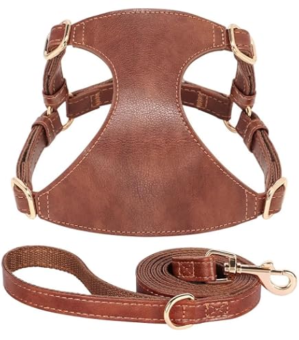 Imbracatura Per Cani In Vera Pelle Italiana M&D - Modello Bull Terrier, Pelle Marrone Imbottita, Per Cani 15-25kg