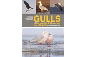GARDNERS Gulls of Europe, North Africa, and the Middle East: An Identification Guide