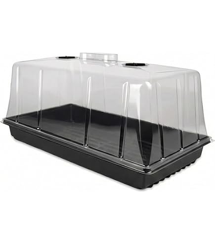 10er Pack Grove Bags 30 G – Wiederverwendbare Aufbewahrungsbeutel, Luftdicht, Mit Feuchtigkeitskontrolle (58–62 %) & Geruchsschutz