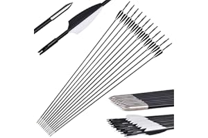 Gutenguy Pfeile für Bogenschießen Kinder, 20 Stück Bogenpfeile Erwachsene 30 Zoll Fiberglaspfeil Bogen Pfeile für Bogen, Recurvebogen, Sportbogen, Ersatzpfeile für Bogen Kinder