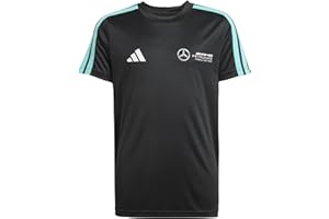 adidas Niños Mercedes - AMG Petronas Formula One Team DNA tee Youth