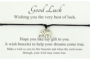LUCOR Good Luck Gifts,Wish Strings Wish Bracelet,Leaving Gift,Thoughtful Gift,Good Luck at University,New Job,Exams,School,College Gift