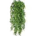 2 Pièces Plante Artificielle Retombante Fausse Feuilles de Lierre Murale pour Intérieur Extérieur, Deco Verdure Décoration D&39intérieur Fausse Vigne pour Salon et Jardin Mariage 2 Pièces Plante Artificielle Retombante Fausse Feuilles de Lierre Murale pour Intérieur Extérieur, Deco Verdure Décoration D&39intérieur Fausse Vigne pour Salon et Jardin Mariage