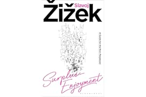 Surplus-Enjoyment: A Guide For The Non-Perplexed