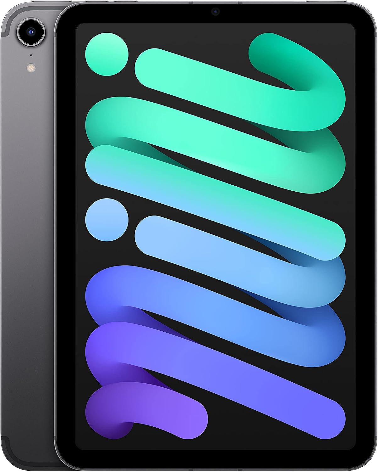 2021 Apple iPad Mini (8,3-pulgadas, Wi-Fi + Celular, 64GB) - Gris Espacial (Reacondicionado)