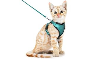 SOKANA Cat Harness and Lead Set for Walking Escape Proof - Lightweight Secure Kitten Harness and Lead Set also for Dogs Puppy Pet Small Size | Green
