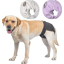 CuteBone Pannolini Per Cani Lavabili, 3 Pezzi Mutandine Cane Femmina Calore, Altamente Assorbenti Mutande Igieniche Animali D16S-IT