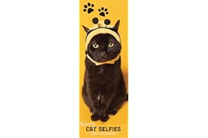 ROCHLI 2024 Cat Selfies Slim Hanging Wall Calendar. No Plastic. Funny, Humorous, Kittens, Planner, Organiser, Home, Family, Schedule, Agenda, Gift