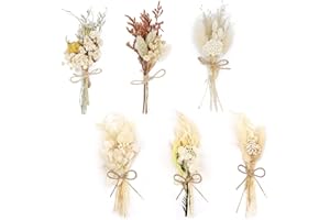 DOWNDRIFT Trockenblumen Klein,6 Bündel Getrocknete Blumen,Trockenblumen Zum Basteln, Trockenblumenstrauß Klein,Mini Trockenblumen für Bilderrahmen DIY Heim-Party Und Hochzeitsdekoration