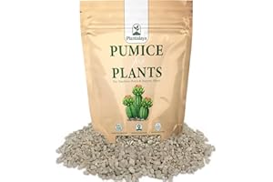 Plantalaya Pumice for Plants – Premium Volcanic Rock Grit for Succulents, Cactus & Bonsai Soil Mix – Improves Drainage & Aeration, Natural Lightweight Aggregate, Indoor & Outdoor Use (1 Litre)