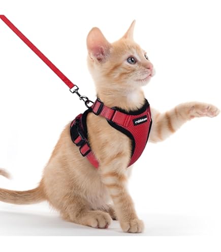 Guinzaglio Lungo Per Gatti Tierhood - 10 Metri, Ultraleggero, Con Moschettoni, Neoprene - Foto 12