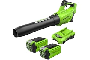 Greenworks GD40ABK2X Soffiatore Foglie Assiale a Batteria con Motore Brushless, 210km/h, 15,6m³/min, Due Batterie da 40V 2Ah e Caricabatterie, Garanzia 3 Anni