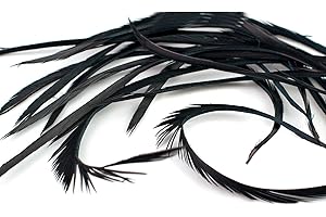 CREATIVERY 3 G plumes d'oie biots 10–18 cm/Décoration/bricolage plumes Bijoux Plumes Oiseaux Plumes Schwarz 030