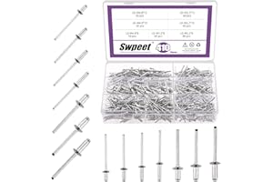 Swpeet Kit rivetti ciechi in alluminio con flangia piccola, 410 pezzi da 1/4" 5/16" 3/8" 1/2", rivetti pop argentati, rivetti a estremità aperta per interni ed esterni